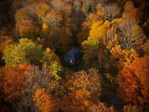 Mandy's Mountain Chalet Mandy's Mountain Chalet