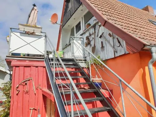 Lachmöwe in Wieck, Deutschland