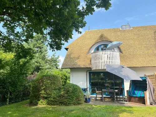 Aurelia in Wieck, Deutschland