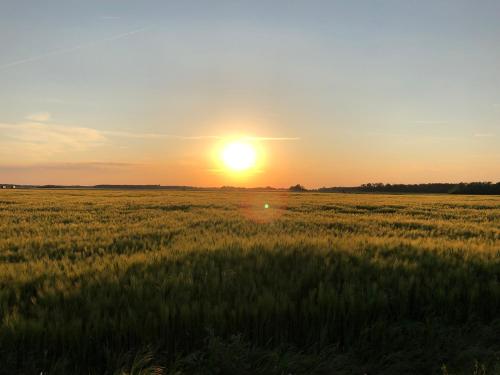 La plaine de l'Angelus