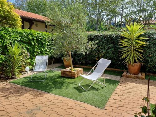 Arcachon Ville de Printemps - Appartement T2 avec Jardin à 250m des Plages - image 5