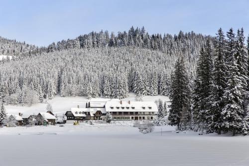 المنظر الخارجي, Hotel Teichwirt in Fladnitz an der Teichalm