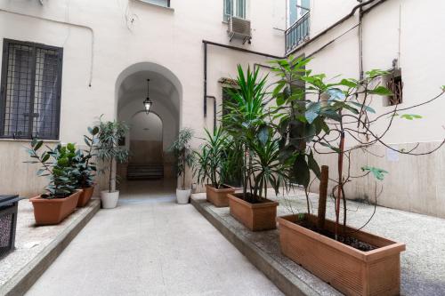 Trastevere four seasons Manara - image 12
