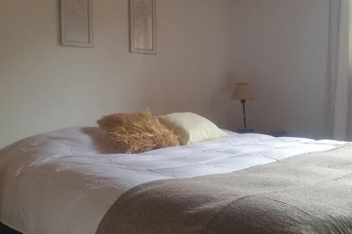 Cabana Cipres entre Bosques y Arroyo in Golondrinas