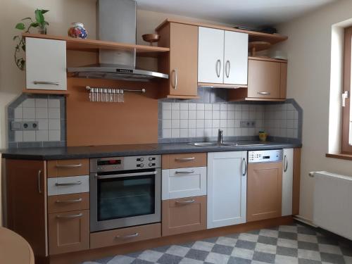 Mountainview Apartment Scheurer in Waidegg