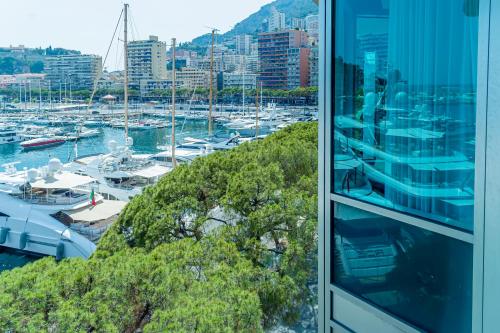 Vistas, Port Palace in Monaco