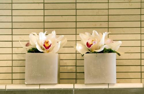 Best Western Plus Hotel Galileo Padova - image 2
