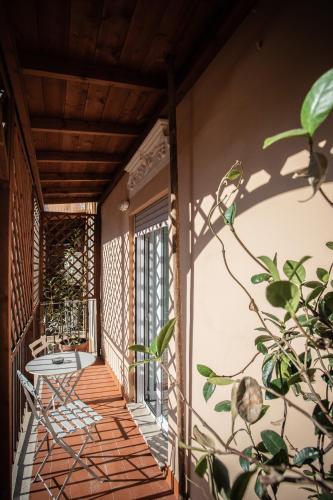 Ludus Rooms in Colosseum and Foro Romano