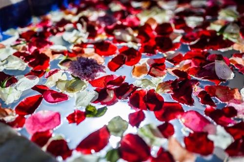 Riad Rcif Alif Suite & SPA - image 12
