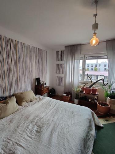 Ferienwohnung zum Schnabelnest
