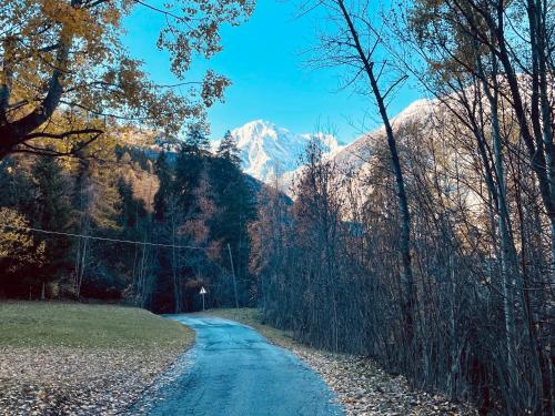 Bilocale pietra e legno immerso nella natura