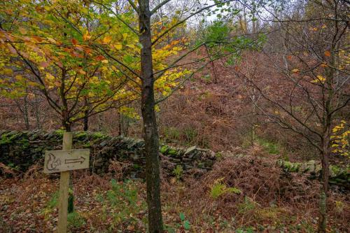 Bilberry Bank Cottage