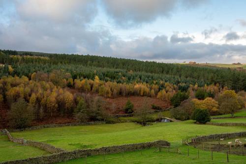 Bilberry Bank Cottage