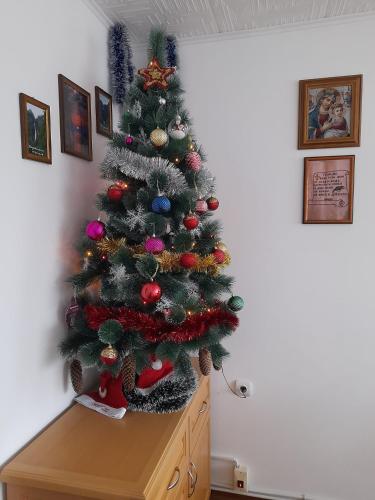Къща за гости Край Реките, Apriltsi (foto 9)