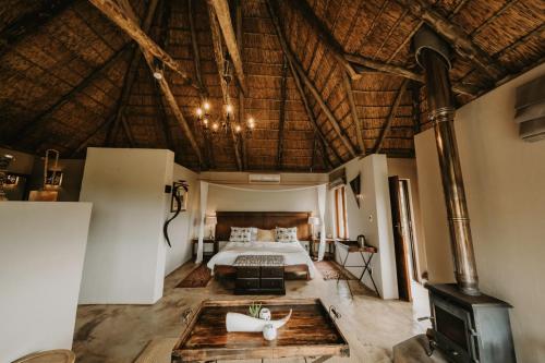 Bukela Game Lodge - Amakhala Game Reserve