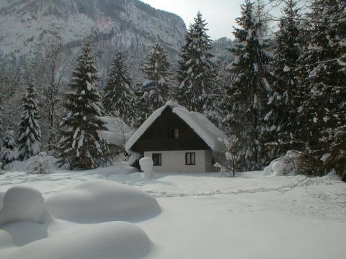 Apartment Lake Bohinj no. 5