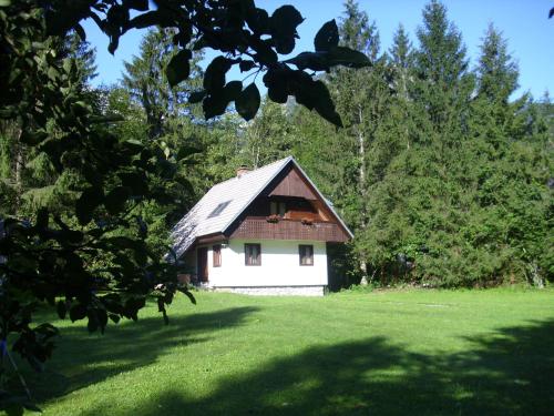 Apartment Lake Bohinj no. 5 - Bohinj