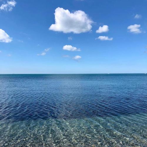 Beach, Little Bassett Bed & Breakfast in Freshwater North