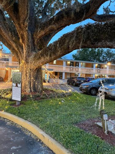 Scottish Inn - Saint Augustine - image 10