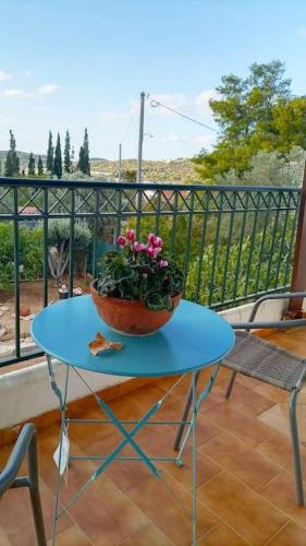 Marco Polos Mooring Cozy Navy House