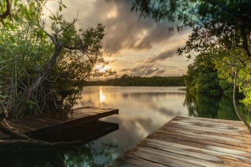 Yaxchen Tulum Cabañas & Cenote in Tulum, Mexico