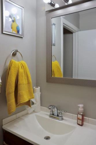 Bathroom, The Little Amazon in Oswego (IL)