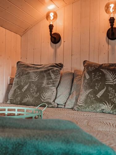 Stunning Shepherd's Hut Retreat North Devon