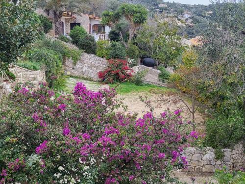  Yiannas Studio in Gaios