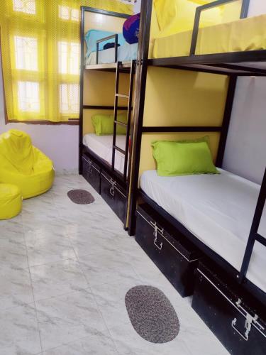 Adventure Homestay khajuraho photo 2