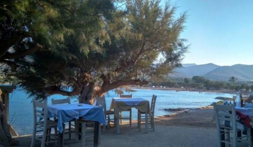 A Cretan house in the garden.