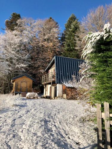 CHARMANT CHALET dans les monts du Forez