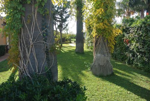  Villa Carlotta Resort in San Leone