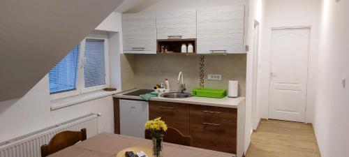 ห้องครัว, ANA Apartment in โดบานอฟชิ