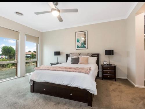 Modern family home with pool in Carisbrook