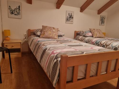 Apartman Delnice Park Srna