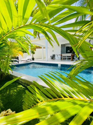 Villas TROPICAL & EXOTIC, 6 chambres avec 2 piscines - Location, gîte - Le Moule