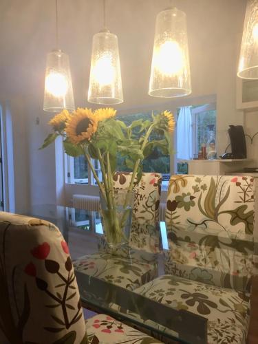 Instalaciones, Big appartment in sunny privat garden in Nijmegen Suburbs