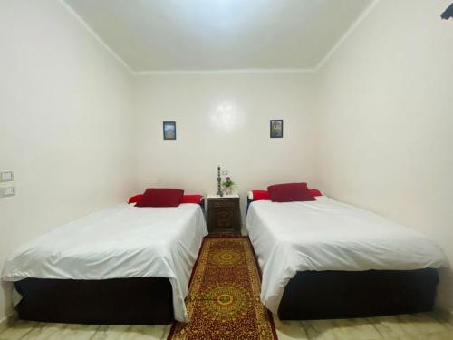 Moon light pyramids view Room Type - Double Room