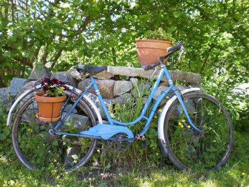 Chambres d'Hôtes le Clos des Lesses - image 6