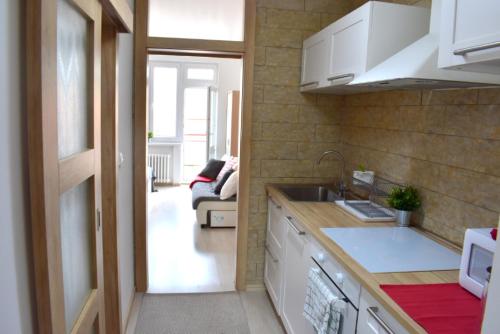 Prague city centre apartment Radka1, Прага (фото 6)