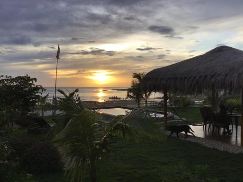 BambooBeachVilla2 AC NEW OCEANFRONT POOL sunsetview garden kitchen SATELLITE STARLINK WI-FI in ディミアオ