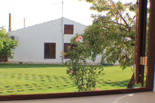 Room in Guest room - Superb double room in a farmhouse