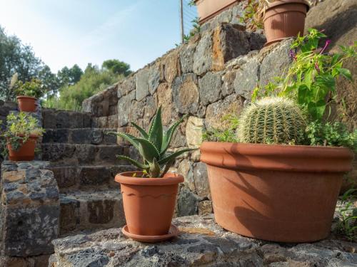 Clelia Case Vista Mare - image 10