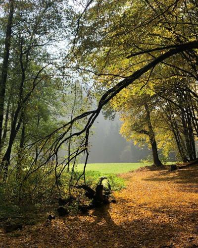 Gartenblick