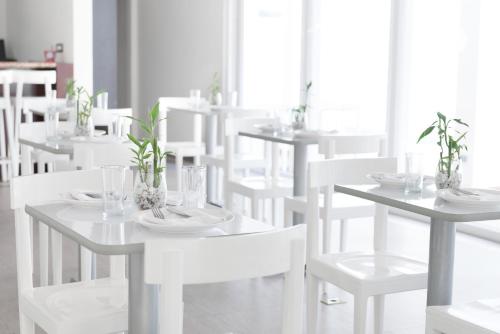 Restaurant, Hotel Latitud 15 in San Pedro Sula