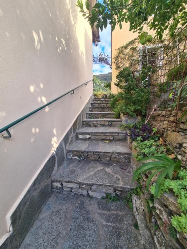 Castrusso il Frantoio di Rapallo by PortofinoVacanze