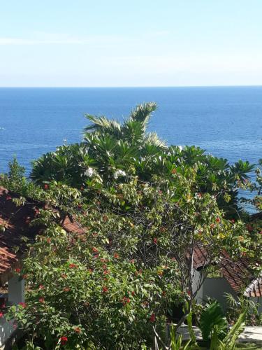 408512942 Anda Amed Villas & Spa