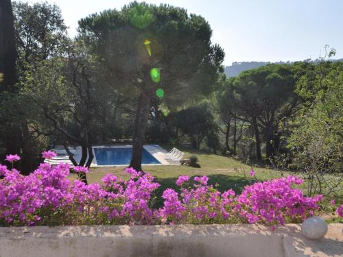 Villa Mas Bartra