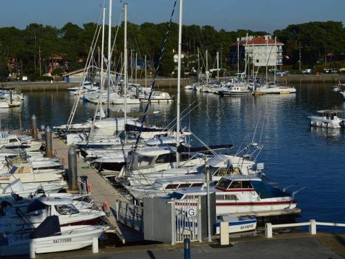 Studio Capbreton, 1 pièce, 4 personnes - FR-1-247-12