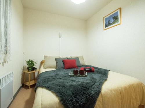 Appartement Saint-Lary-Soulan 2 pièces 6 personnes - FR-1-296-155 - image 7